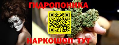 СК Краснознаменск