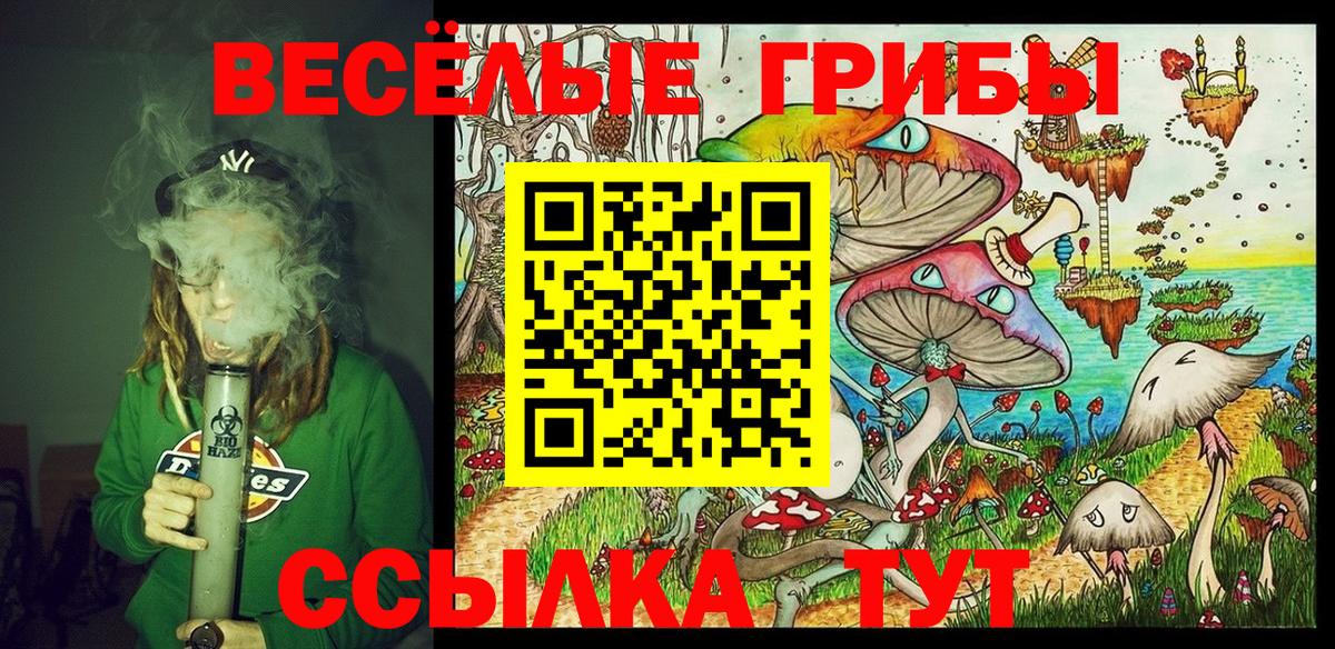 Псилоцибиновые грибы Psilocybe Карталы