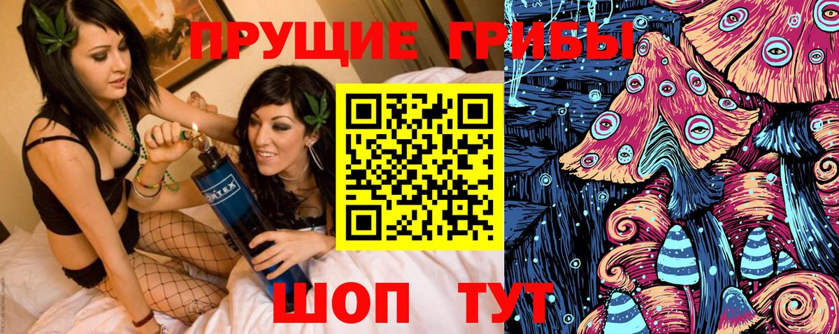 Псилоцибиновые грибы Psilocybe  Вход с VPN  Карталы 